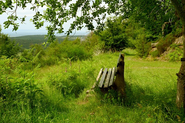最大潜力 最大潜力