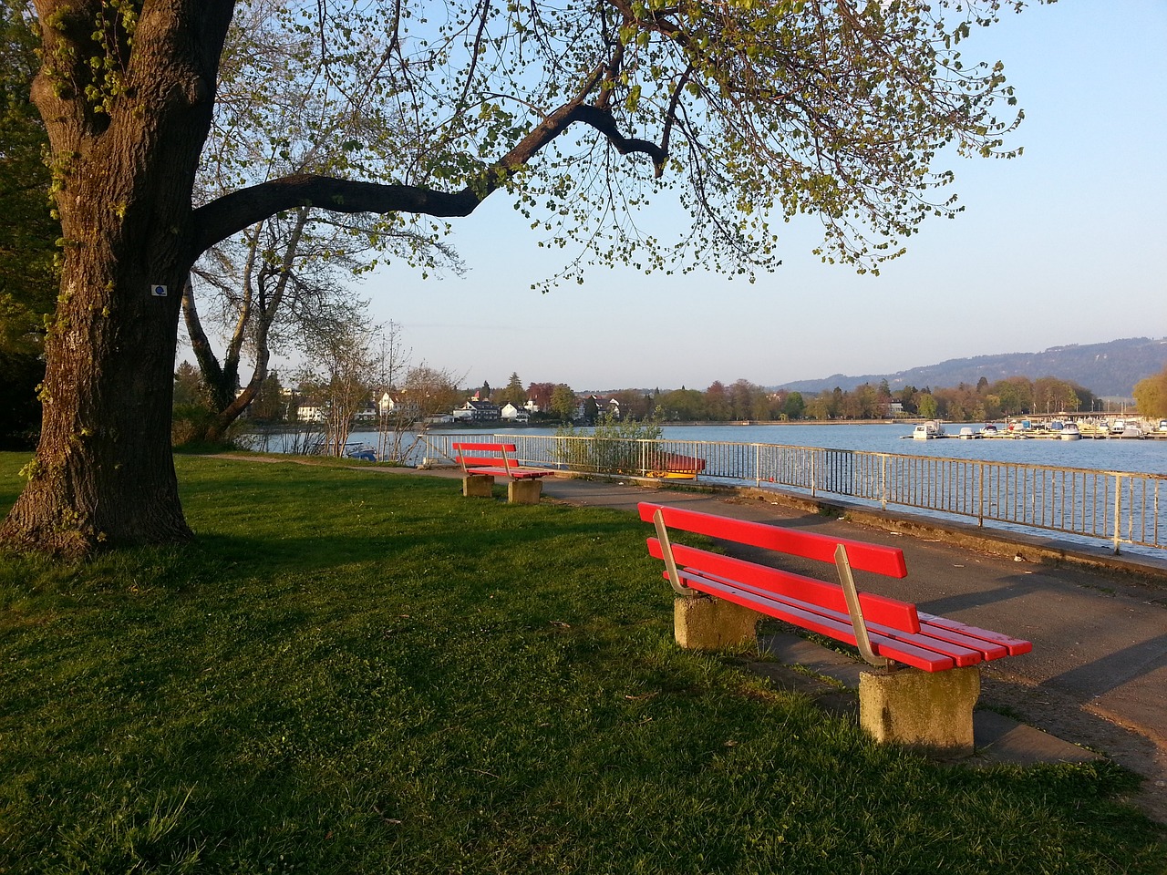 以惊人的精 以惊人的精