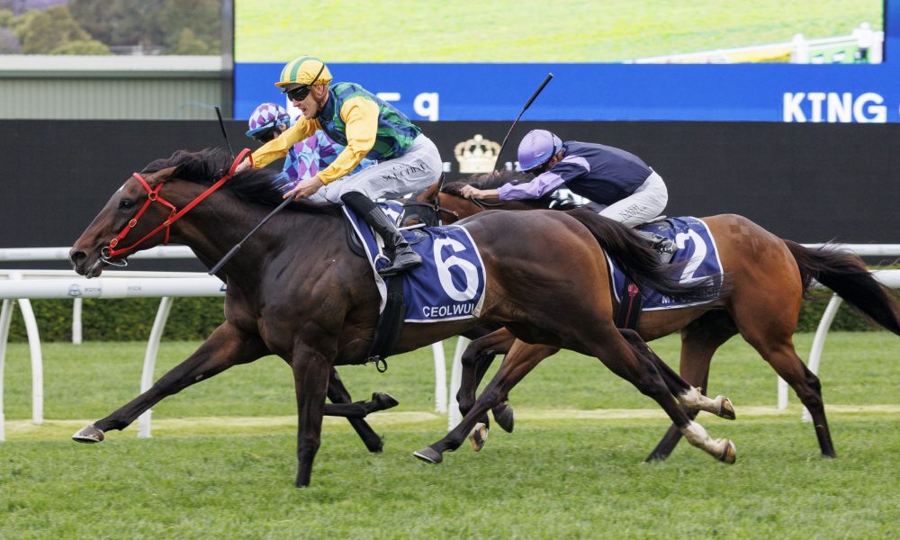 更多的荣耀 更多的荣耀