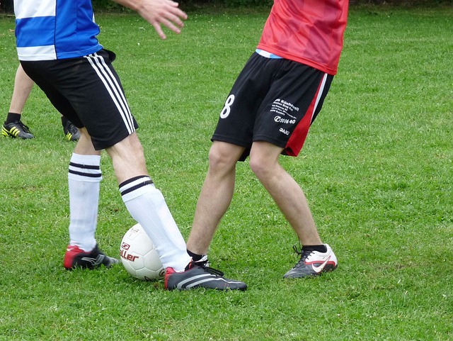 享了博物馆 享了博物馆