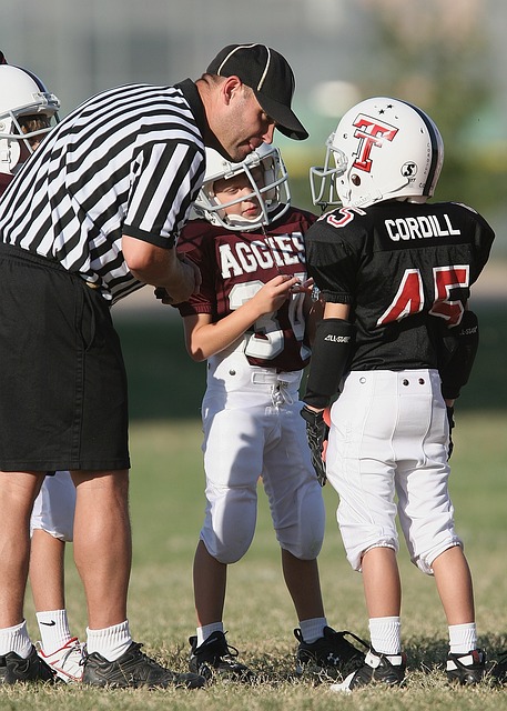 的内部管理 的内部管理