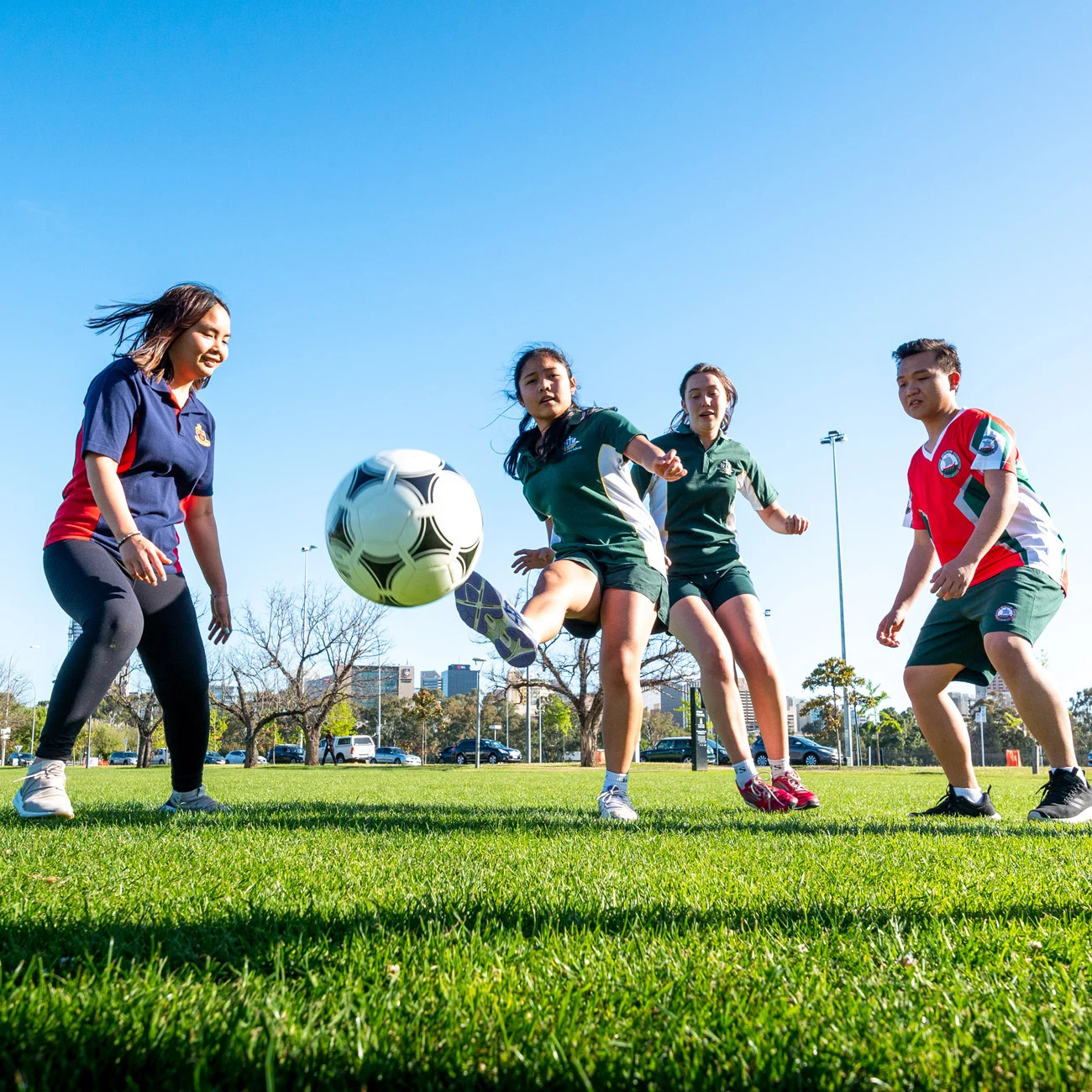 樣性是關鍵 樣性是關鍵