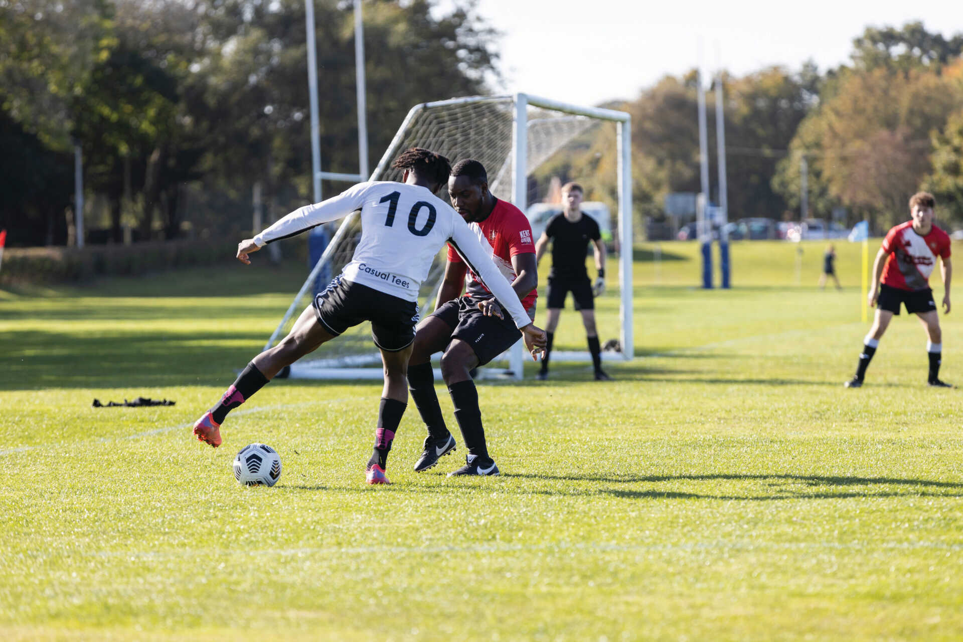 一块草皮意 一块草皮意